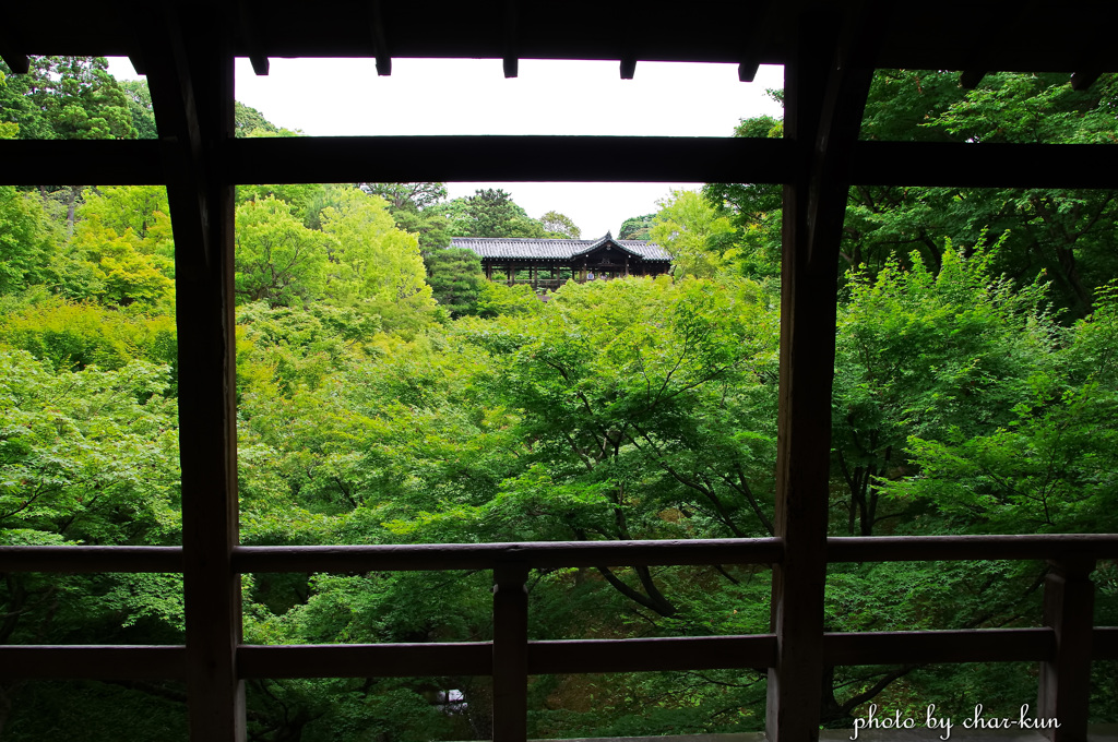 臥雲橋より通天橋を望む