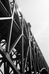港大橋②