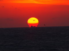 御前崎 夕日