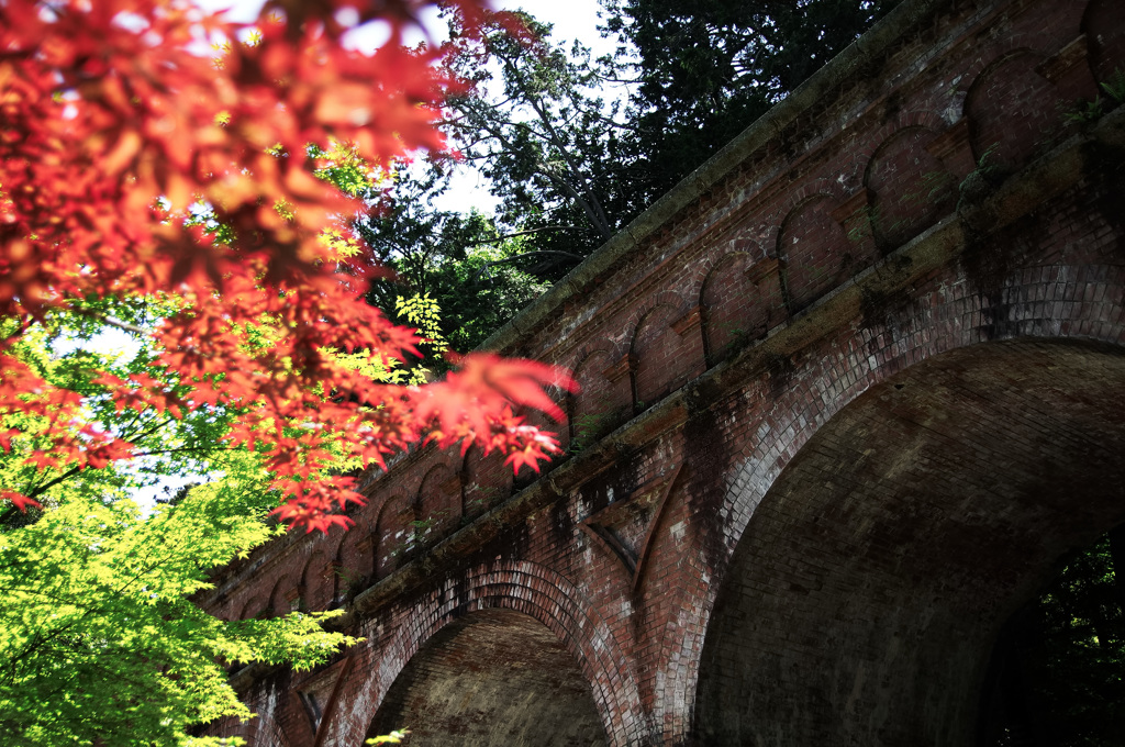 南禅寺 水路閣 Ⅴ