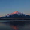 富士 夜明け