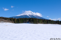 朝霧高原より