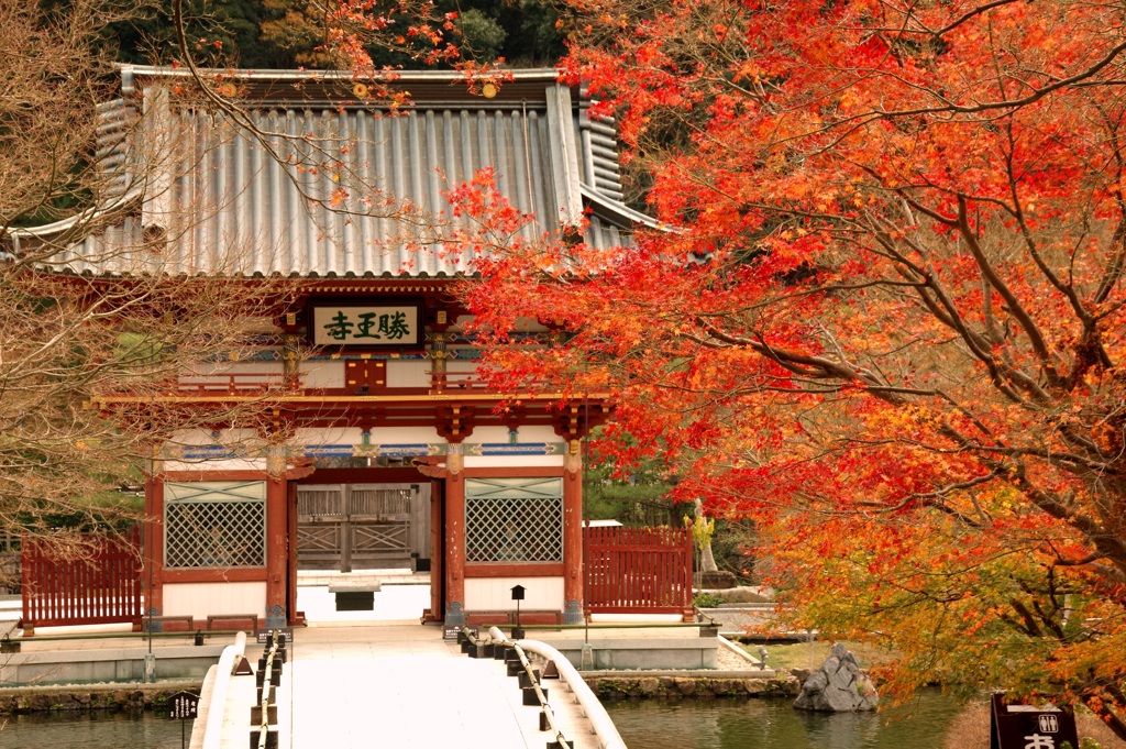 晩秋の勝尾寺