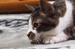 狙いを定めてぇ～・・・