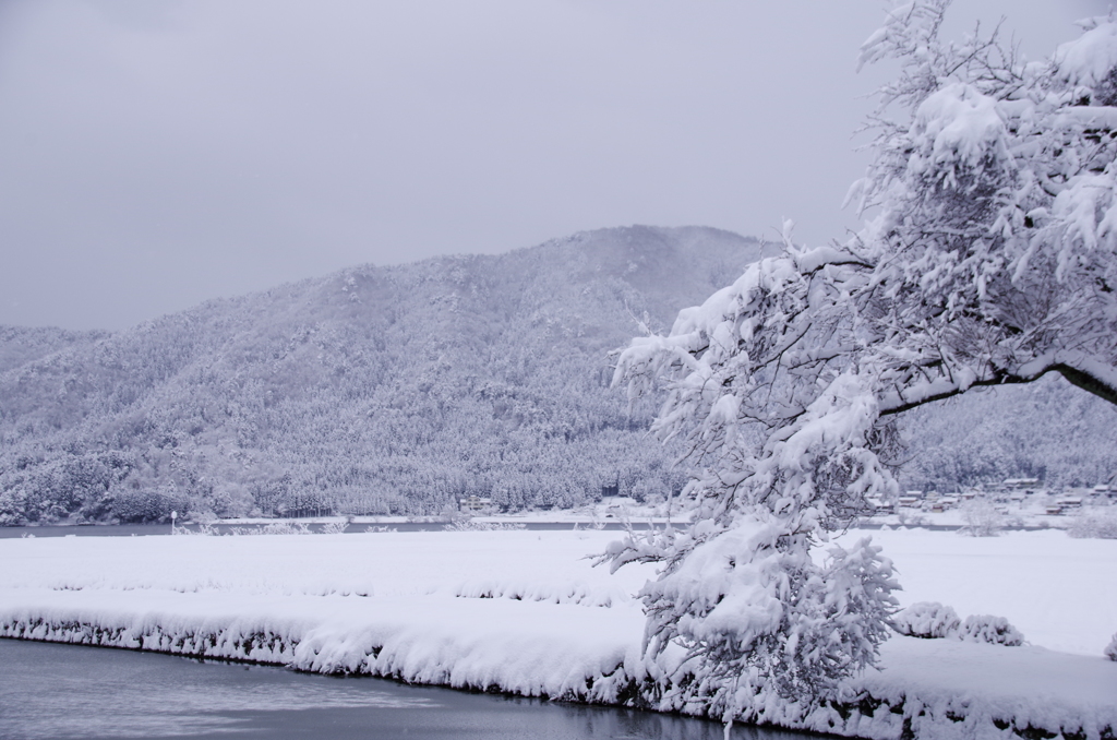 余呉湖雪景 '15.1.1