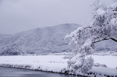 余呉湖雪景 '15.1.1