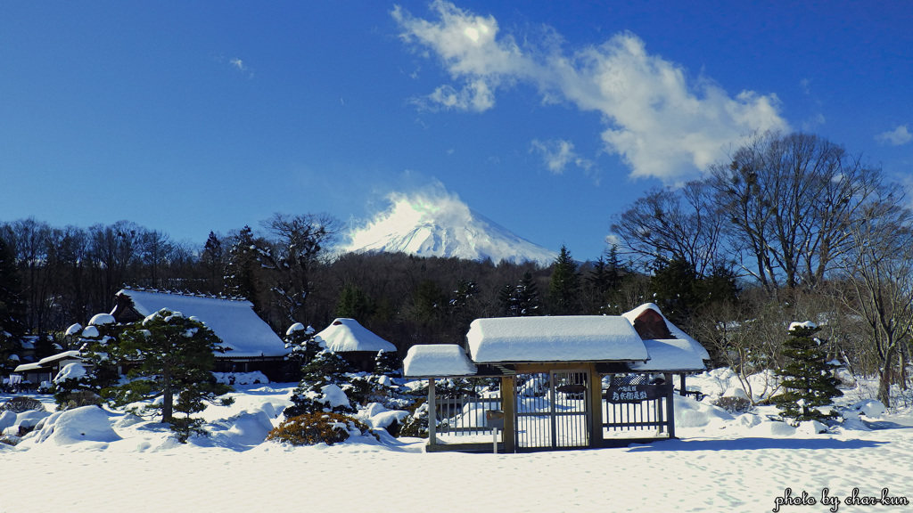 Winter Japan