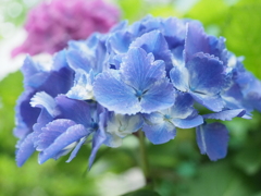 6年ぶりのデジイチ