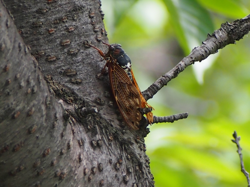 過ぎ行く夏を慈しむように・・・