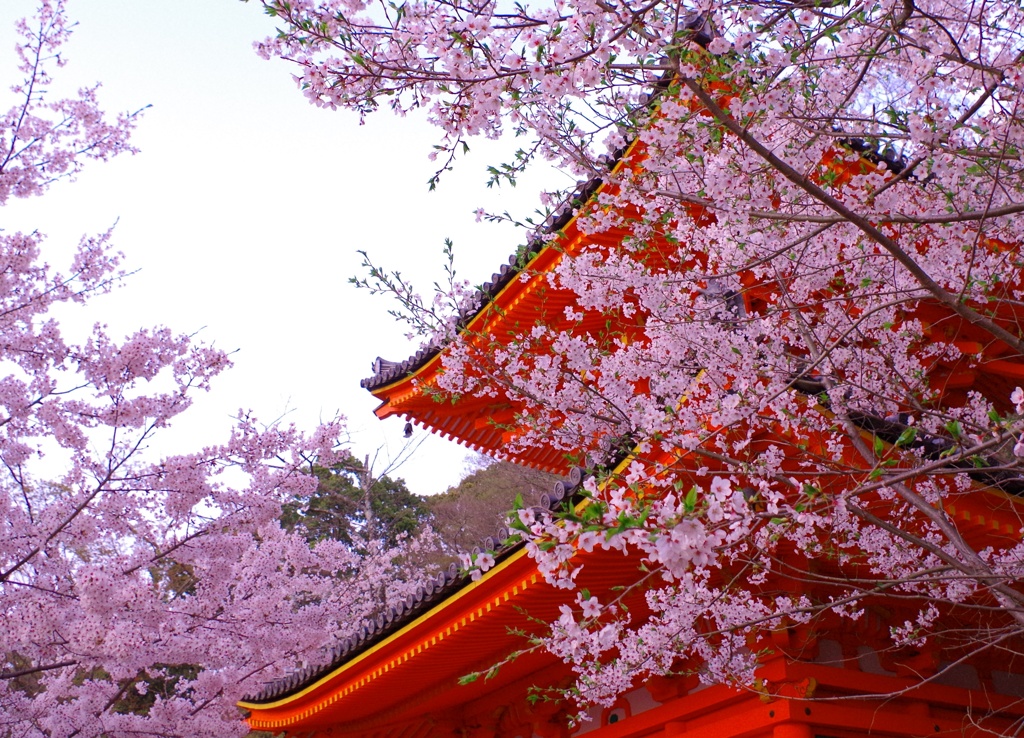紀三井寺①