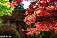 南禅寺 水路閣 Ⅳ