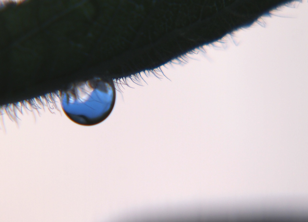 雫の中の青空
