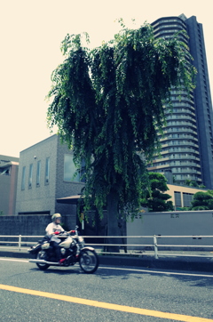 車窓 2015 june 7