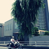 車窓 2015 june 7
