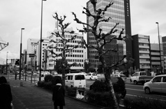 冬近し