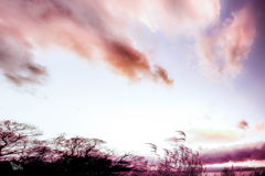 琵琶湖暮色　35