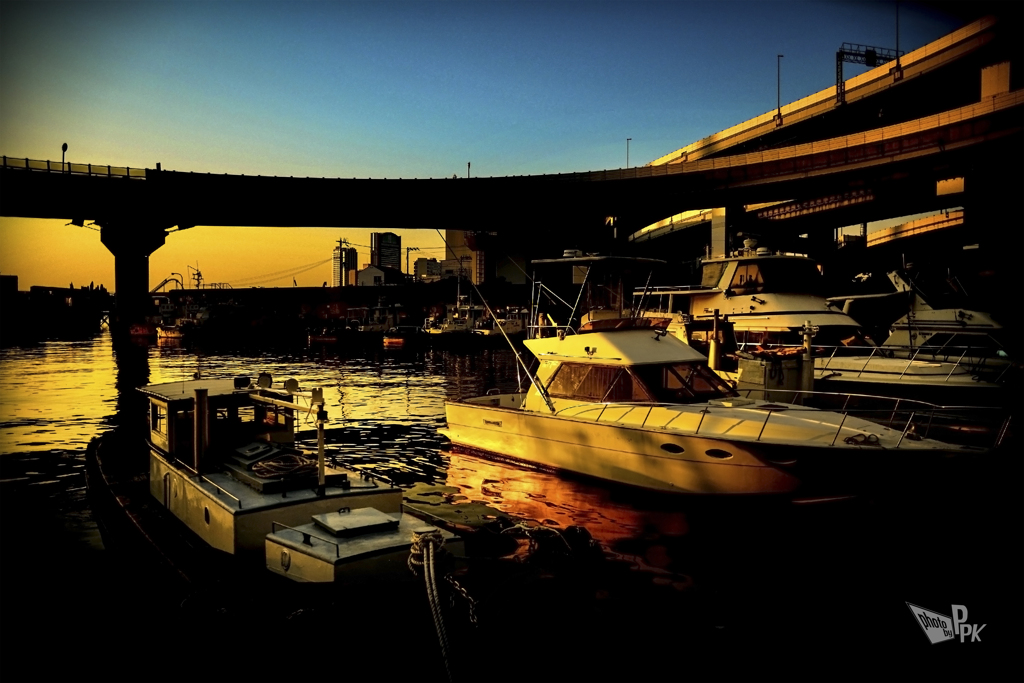 Bayside Story 4