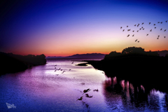 琵琶湖暮色　36