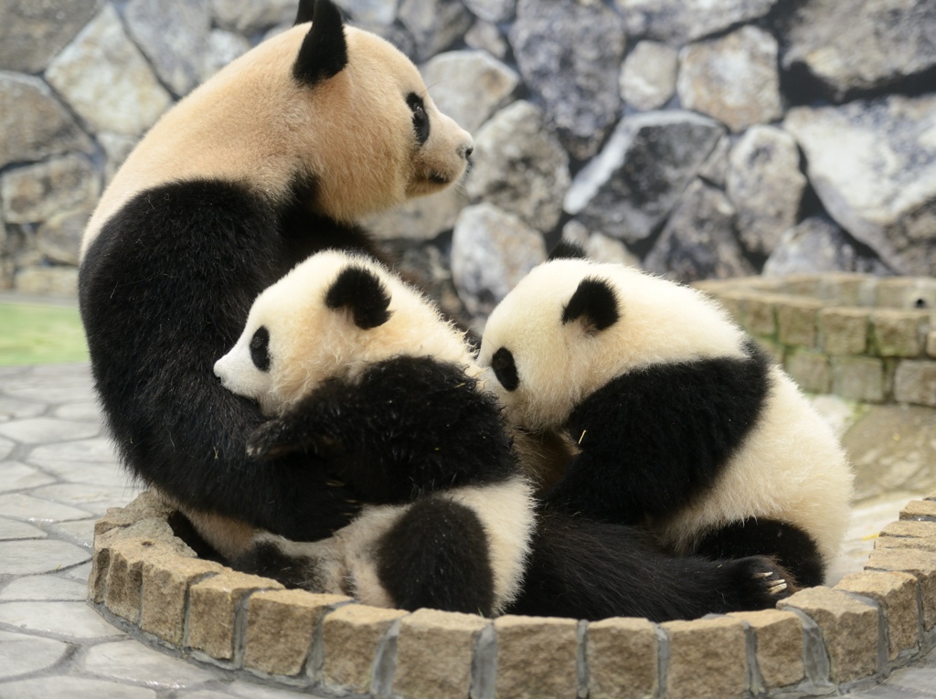 子育て奮闘中