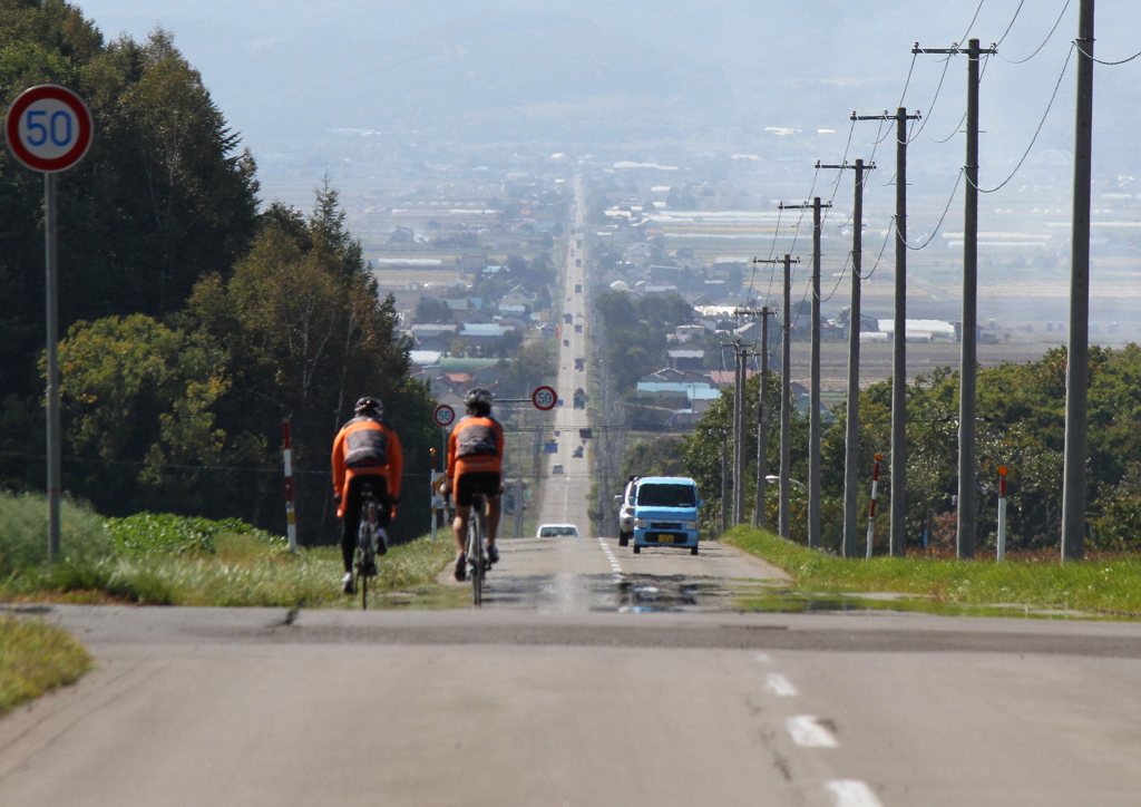 富良野の農免道路