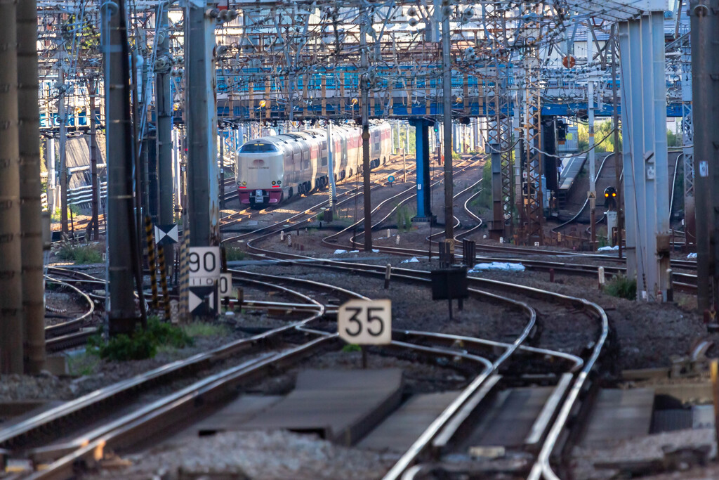 サンライズ　横浜駅で