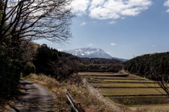 里山を歩く