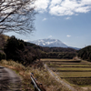 里山を歩く