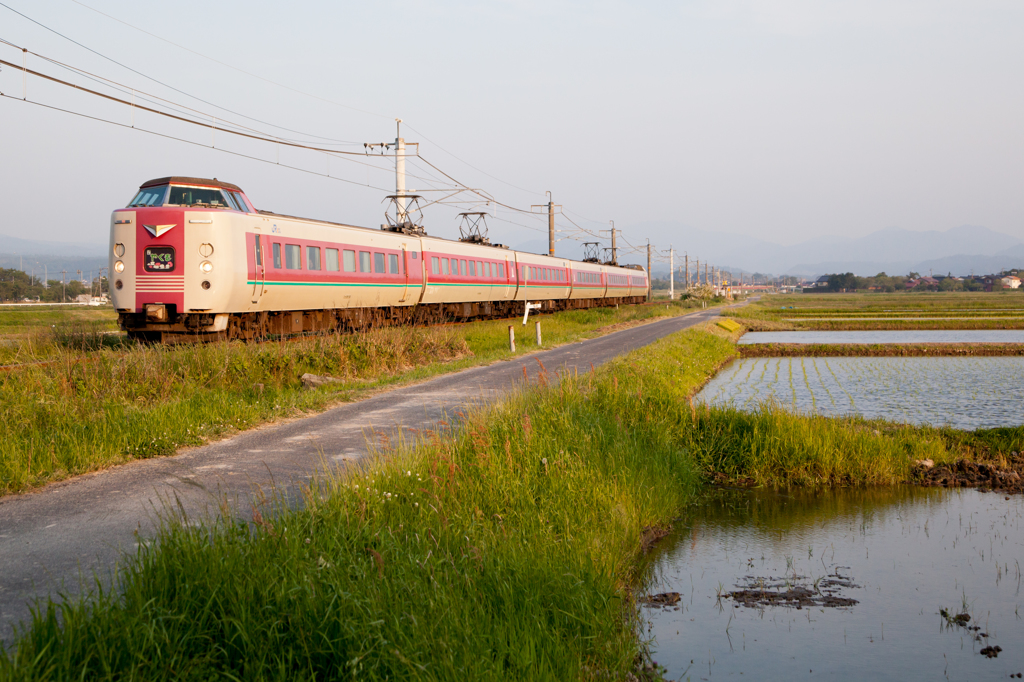 田植えと伯備線の電車