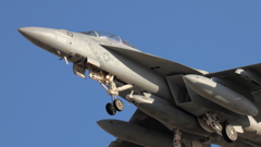 目線があったような