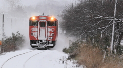 雪たらこ３