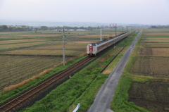 水田風景