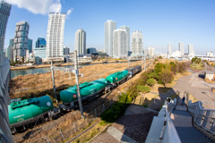 15ミリ魚眼テスト