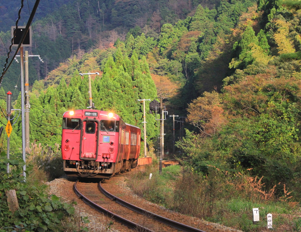 山陰本線、秋、列車