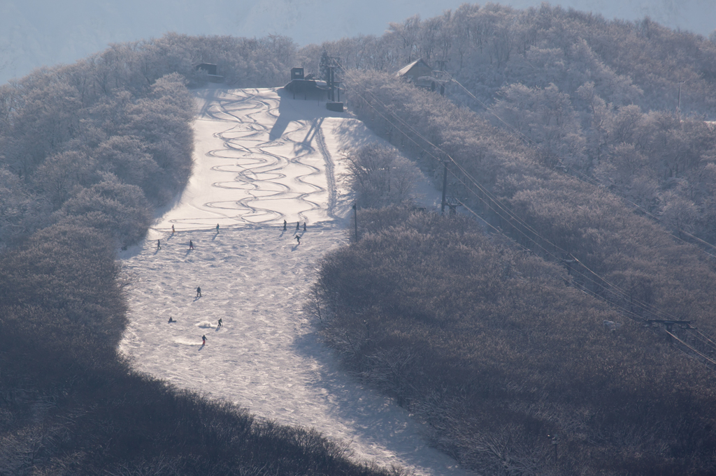 新雪を滑るのは気持ち良く