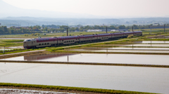 田植えと伯備線の電車