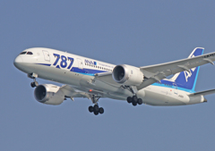 雪レフ？787