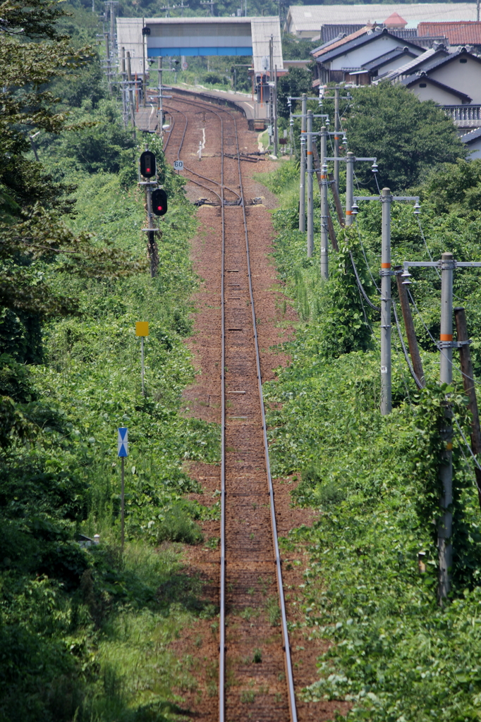 蒸し暑い雑草と線路