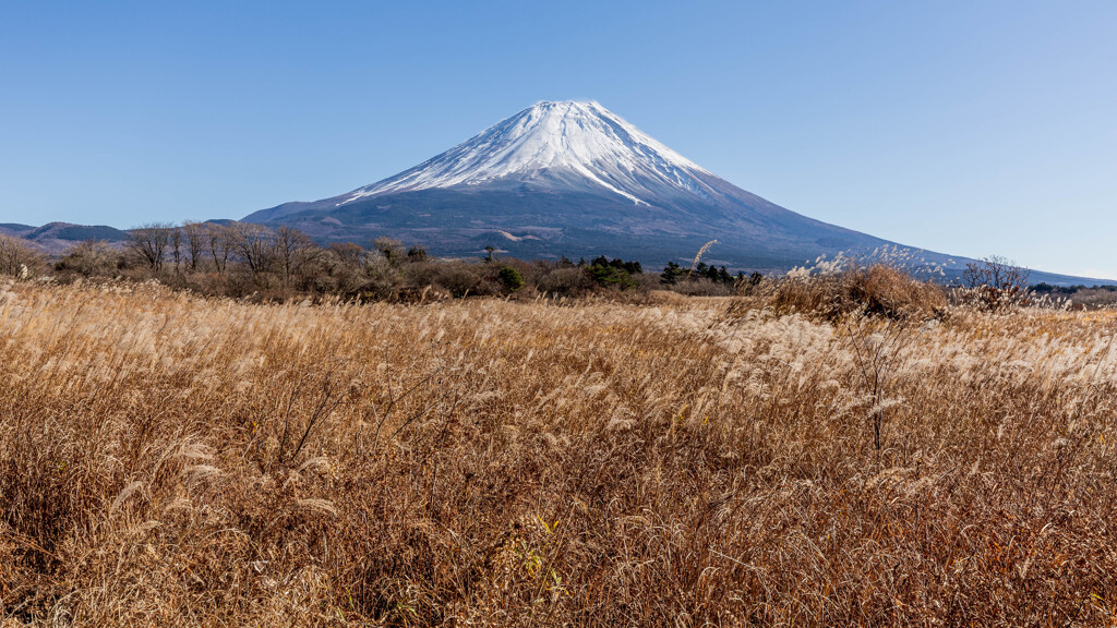 富士山 　霧降高原