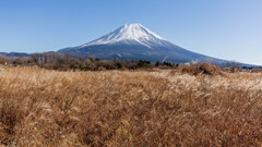 富士山 　霧降高原
