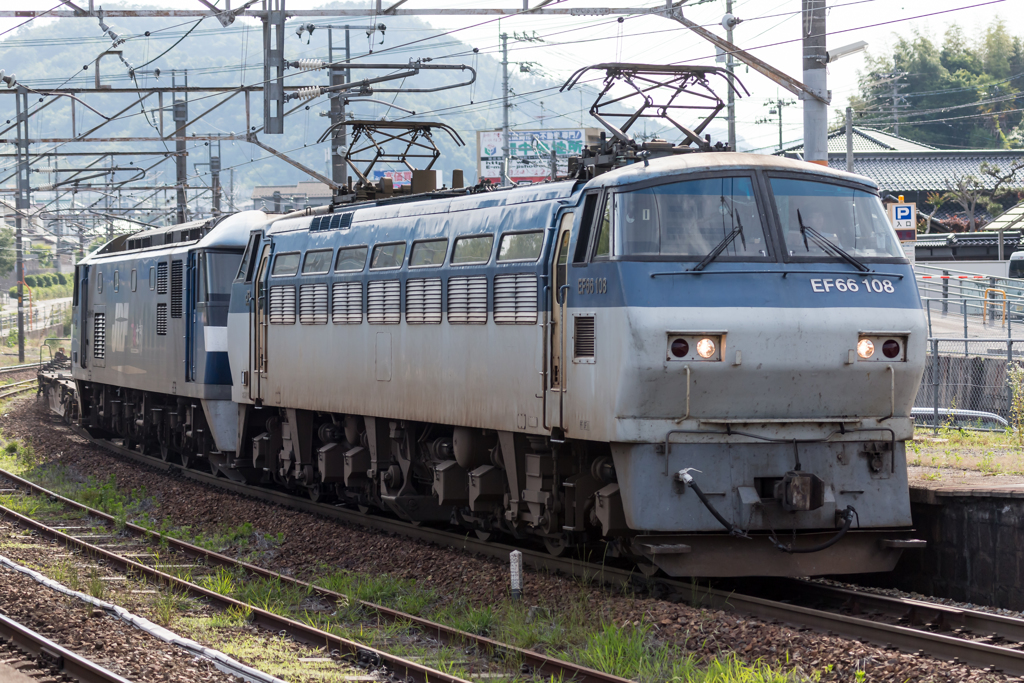 瀬野八　EF66が曳き手