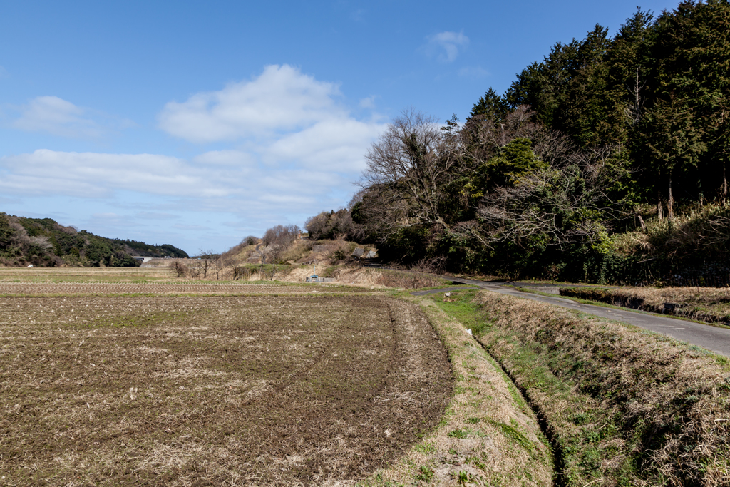 里山を歩く