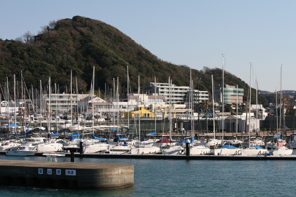 葉山港