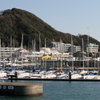 葉山港