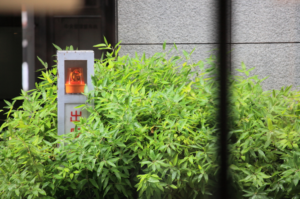 某社銀座ショールーム付近