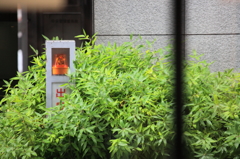 某社銀座ショールーム付近