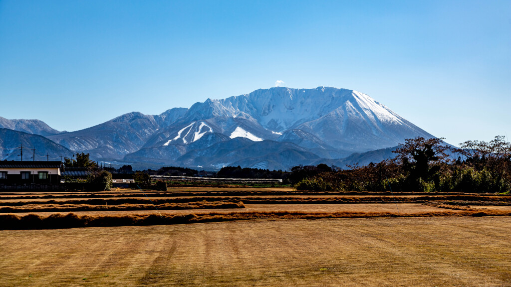 大山と芝畑