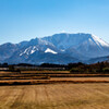 大山と芝畑