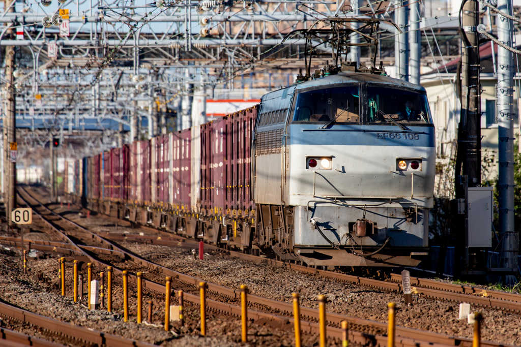 EF66サメが東海道を