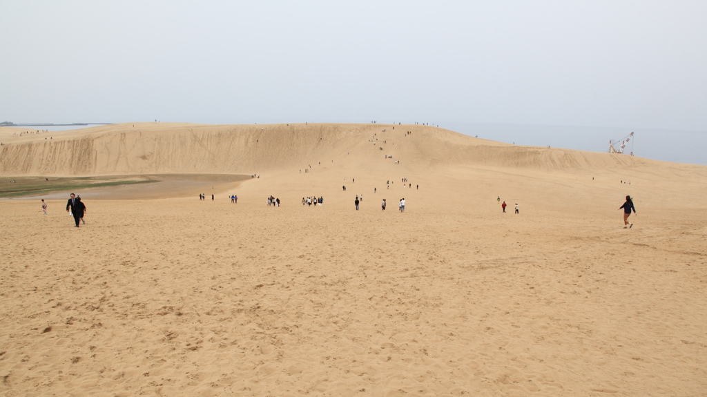 砂丘です。鳥取の