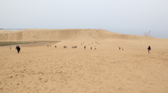 砂丘です。鳥取の